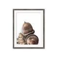 Picture of Fallen Acorns _GroupedProduct_Rectangle_Portrait_Photography _GroupedProduct_Rectangle_Portrait_Framed_Matted_