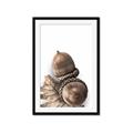 Picture of Fallen Acorns _GroupedProduct_Rectangle_Portrait_Photography _GroupedProduct_Rectangle_Portrait_Framed_Matted_