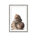 Picture of Fallen Acorns _GroupedProduct_Rectangle_Portrait_Photography _GroupedProduct_Rectangle_Portrait_Framed_Matted_