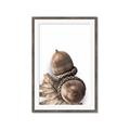 Picture of Fallen Acorns _GroupedProduct_Rectangle_Portrait_Photography _GroupedProduct_Rectangle_Portrait_Framed_Matted_