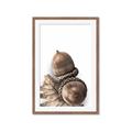 Picture of Fallen Acorns _GroupedProduct_Rectangle_Portrait_Photography _GroupedProduct_Rectangle_Portrait_Framed_Matted_
