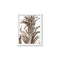 Picture of Grass _GroupedProduct_Rectangle_Portrait_Photography _GroupedProduct_Rectangle_Portrait_Framed_Matted_
