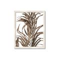 Picture of Grass _GroupedProduct_Rectangle_Portrait_Photography _GroupedProduct_Rectangle_Portrait_Framed_Matted_