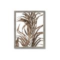 Picture of Grass _GroupedProduct_Rectangle_Portrait_Photography _GroupedProduct_Rectangle_Portrait_Framed_Matted_