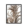 Picture of Grass _GroupedProduct_Rectangle_Portrait_Photography _GroupedProduct_Rectangle_Portrait_Framed_Matted_
