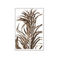 Picture of Grass _GroupedProduct_Rectangle_Portrait_Photography _GroupedProduct_Rectangle_Portrait_Framed_Matted_