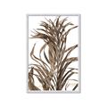Picture of Grass _GroupedProduct_Rectangle_Portrait_Photography _GroupedProduct_Rectangle_Portrait_Framed_Matted_