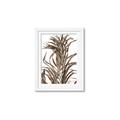 Picture of Grass _GroupedProduct_Rectangle_Portrait_Photography _GroupedProduct_Rectangle_Portrait_Framed_Matted_