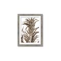 Picture of Grass _GroupedProduct_Rectangle_Portrait_Photography _GroupedProduct_Rectangle_Portrait_Framed_Matted_