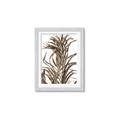 Picture of Grass _GroupedProduct_Rectangle_Portrait_Photography _GroupedProduct_Rectangle_Portrait_Framed_Matted_