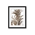 Picture of Grass _GroupedProduct_Rectangle_Portrait_Photography _GroupedProduct_Rectangle_Portrait_Framed_Matted_
