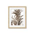 Picture of Grass _GroupedProduct_Rectangle_Portrait_Photography _GroupedProduct_Rectangle_Portrait_Framed_Matted_