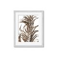 Picture of Grass _GroupedProduct_Rectangle_Portrait_Photography _GroupedProduct_Rectangle_Portrait_Framed_Matted_