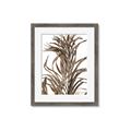 Picture of Grass _GroupedProduct_Rectangle_Portrait_Photography _GroupedProduct_Rectangle_Portrait_Framed_Matted_