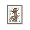 Picture of Grass _GroupedProduct_Rectangle_Portrait_Photography _GroupedProduct_Rectangle_Portrait_Framed_Matted_