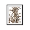 Picture of Grass _GroupedProduct_Rectangle_Portrait_Photography _GroupedProduct_Rectangle_Portrait_Framed_Matted_