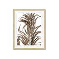 Picture of Grass _GroupedProduct_Rectangle_Portrait_Photography _GroupedProduct_Rectangle_Portrait_Framed_Matted_