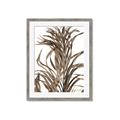 Picture of Grass _GroupedProduct_Rectangle_Portrait_Photography _GroupedProduct_Rectangle_Portrait_Framed_Matted_