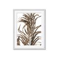 Picture of Grass _GroupedProduct_Rectangle_Portrait_Photography _GroupedProduct_Rectangle_Portrait_Framed_Matted_