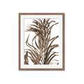 Picture of Grass _GroupedProduct_Rectangle_Portrait_Photography _GroupedProduct_Rectangle_Portrait_Framed_Matted_