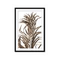 Picture of Grass _GroupedProduct_Rectangle_Portrait_Photography _GroupedProduct_Rectangle_Portrait_Framed_Matted_