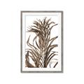 Picture of Grass _GroupedProduct_Rectangle_Portrait_Photography _GroupedProduct_Rectangle_Portrait_Framed_Matted_