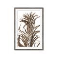 Picture of Grass _GroupedProduct_Rectangle_Portrait_Photography _GroupedProduct_Rectangle_Portrait_Framed_Matted_