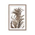Picture of Grass _GroupedProduct_Rectangle_Portrait_Photography _GroupedProduct_Rectangle_Portrait_Framed_Matted_