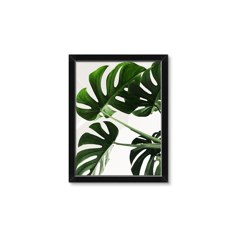 Picture of Green Palms _GroupedProduct_Rectangle_Portrait_Photography _GroupedProduct_Rectangle_Portrait_Framed_Matted_