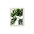 Picture of Green Palms _GroupedProduct_Rectangle_Portrait_Photography _GroupedProduct_Rectangle_Portrait_Framed_Matted_