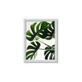 Picture of Green Palms _GroupedProduct_Rectangle_Portrait_Photography _GroupedProduct_Rectangle_Portrait_Framed_Matted_