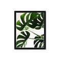 Picture of Green Palms _GroupedProduct_Rectangle_Portrait_Photography _GroupedProduct_Rectangle_Portrait_Framed_Matted_