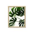 Picture of Green Palms _GroupedProduct_Rectangle_Portrait_Photography _GroupedProduct_Rectangle_Portrait_Framed_Matted_