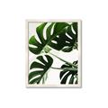 Picture of Green Palms _GroupedProduct_Rectangle_Portrait_Photography _GroupedProduct_Rectangle_Portrait_Framed_Matted_