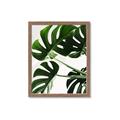 Picture of Green Palms _GroupedProduct_Rectangle_Portrait_Photography _GroupedProduct_Rectangle_Portrait_Framed_Matted_