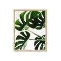 Picture of Green Palms _GroupedProduct_Rectangle_Portrait_Photography _GroupedProduct_Rectangle_Portrait_Framed_Matted_