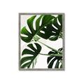 Picture of Green Palms _GroupedProduct_Rectangle_Portrait_Photography _GroupedProduct_Rectangle_Portrait_Framed_Matted_