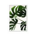 Picture of Green Palms _GroupedProduct_Rectangle_Portrait_Photography _GroupedProduct_Rectangle_Portrait_Framed_Matted_