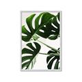 Picture of Green Palms _GroupedProduct_Rectangle_Portrait_Photography _GroupedProduct_Rectangle_Portrait_Framed_Matted_