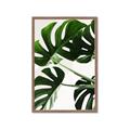 Picture of Green Palms _GroupedProduct_Rectangle_Portrait_Photography _GroupedProduct_Rectangle_Portrait_Framed_Matted_