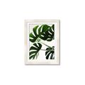 Picture of Green Palms _GroupedProduct_Rectangle_Portrait_Photography _GroupedProduct_Rectangle_Portrait_Framed_Matted_