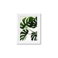 Picture of Green Palms _GroupedProduct_Rectangle_Portrait_Photography _GroupedProduct_Rectangle_Portrait_Framed_Matted_
