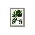Picture of Green Palms _GroupedProduct_Rectangle_Portrait_Photography _GroupedProduct_Rectangle_Portrait_Framed_Matted_