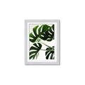 Picture of Green Palms _GroupedProduct_Rectangle_Portrait_Photography _GroupedProduct_Rectangle_Portrait_Framed_Matted_