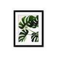 Picture of Green Palms _GroupedProduct_Rectangle_Portrait_Photography _GroupedProduct_Rectangle_Portrait_Framed_Matted_
