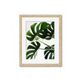 Picture of Green Palms _GroupedProduct_Rectangle_Portrait_Photography _GroupedProduct_Rectangle_Portrait_Framed_Matted_