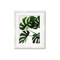 Picture of Green Palms _GroupedProduct_Rectangle_Portrait_Photography _GroupedProduct_Rectangle_Portrait_Framed_Matted_