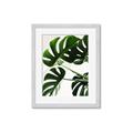 Picture of Green Palms _GroupedProduct_Rectangle_Portrait_Photography _GroupedProduct_Rectangle_Portrait_Framed_Matted_