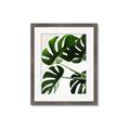 Picture of Green Palms _GroupedProduct_Rectangle_Portrait_Photography _GroupedProduct_Rectangle_Portrait_Framed_Matted_