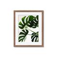 Picture of Green Palms _GroupedProduct_Rectangle_Portrait_Photography _GroupedProduct_Rectangle_Portrait_Framed_Matted_